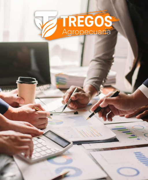 freepik__enhance__24222 copia